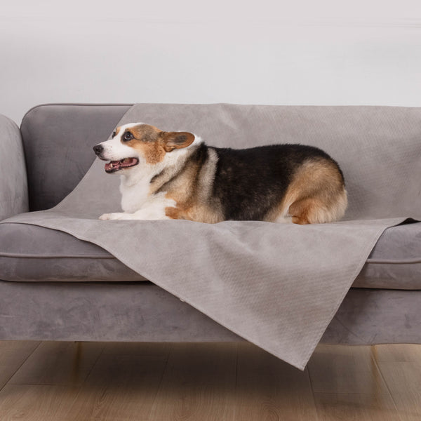 Capa de Sofá Impermeável Antiderrapante para Cães e Gatos Premium