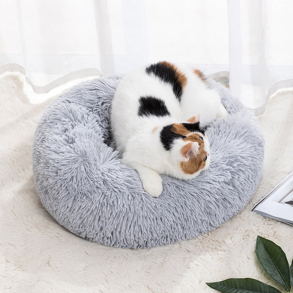 Cama Real Pet Aconchego - O Refúgio Majestoso para Seu Amigo Peludo