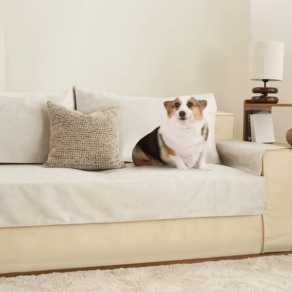 Capa de Sofá Impermeável Antiderrapante para Cães e Gatos Premium