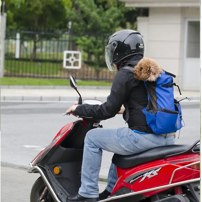 MochilaPet Aventura: Transporte Respirável para Cães