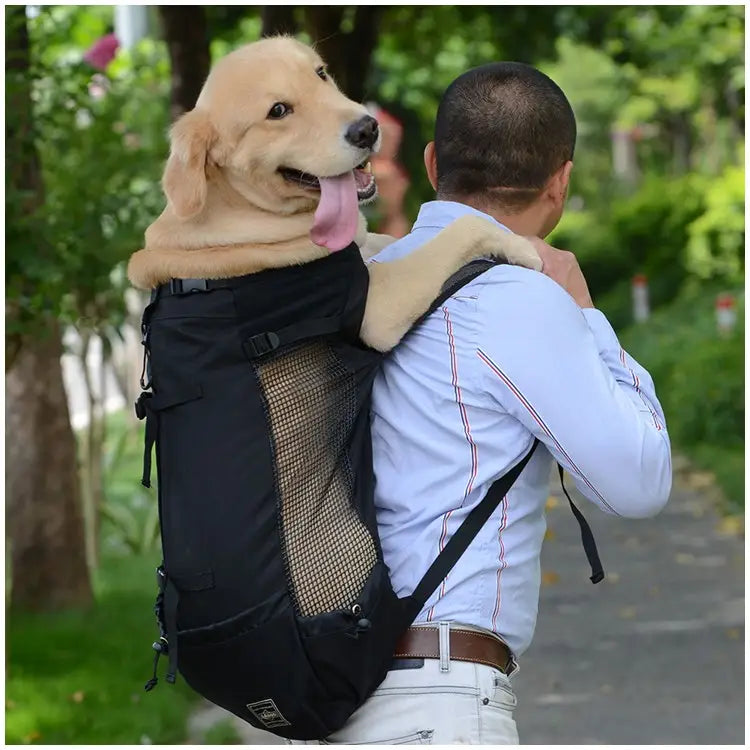 MochilaPet Aventura: Transporte Respirável para Cães