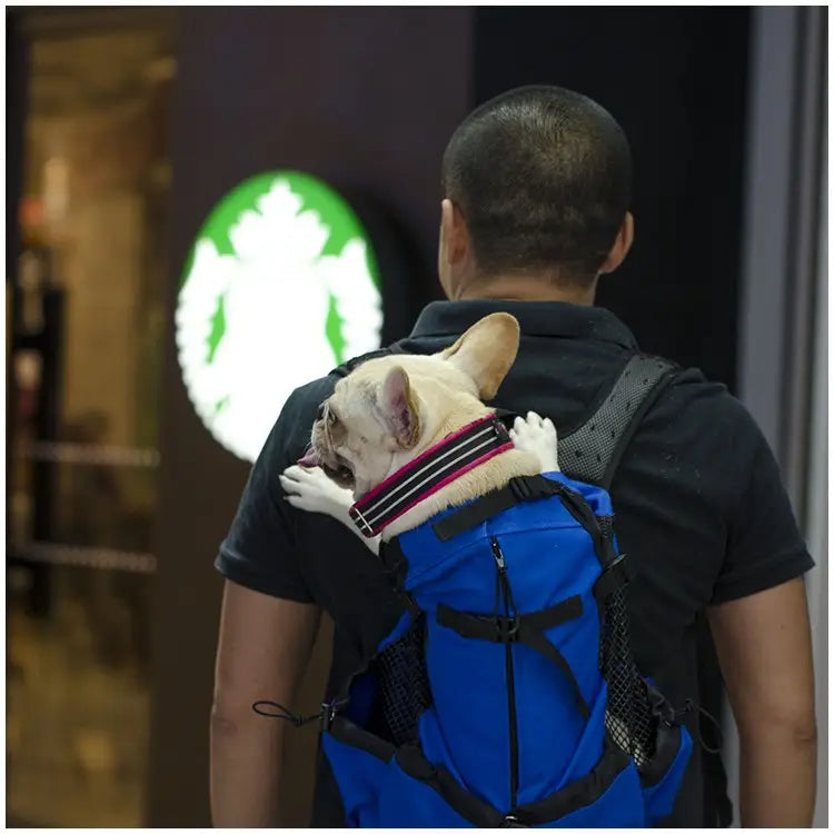 MochilaPet Aventura: Transporte Respirável para Cães