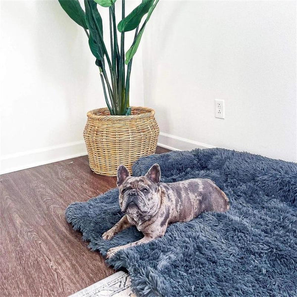 Cama Calmante e Protetor de Sofá Para Cachorros e Gatos - Socapa Brasil