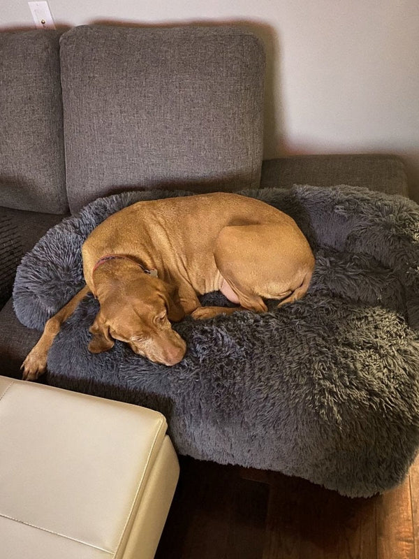 Cama Calmante e Protetor de Sofá Para Cachorros e Gatos - Socapa Brasil