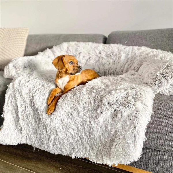 Cama Calmante e Protetor de Sofá Para Cachorros e Gatos - Socapa Brasil